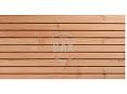 20x125mm (Triple)